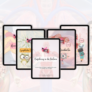 Alle digitalen Workbooks zur Heilpraktiker- Prüfungsvorbereitung als Gesamtpaket 📚