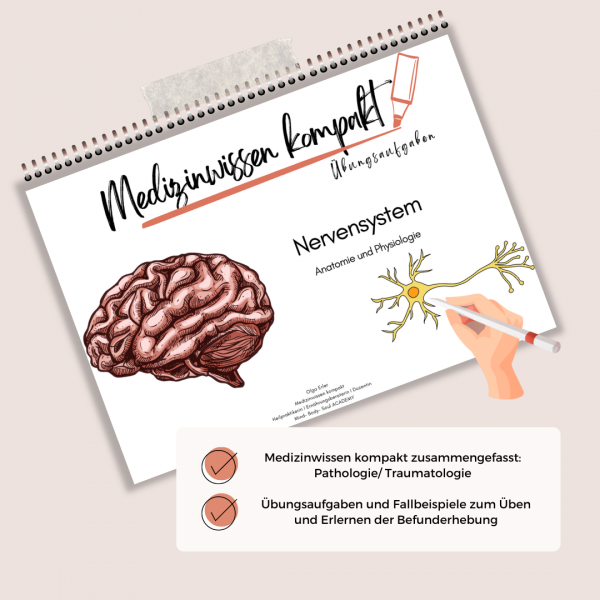 Medizinwissen kompakt- Nervensystem Anatomie und Physiologie