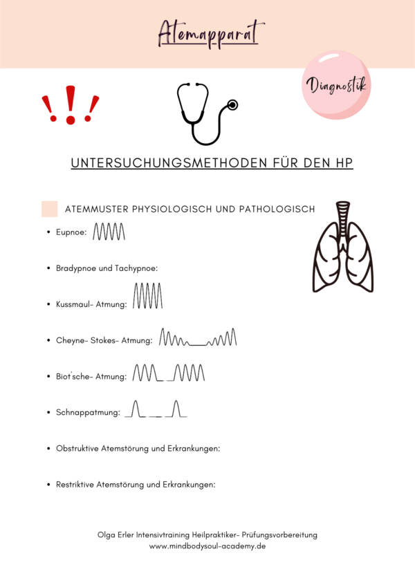 Die Untersuchungsmethoden- Digitales Workbook & Seminar für den praktischen Teil der Prüfung – Bild 4