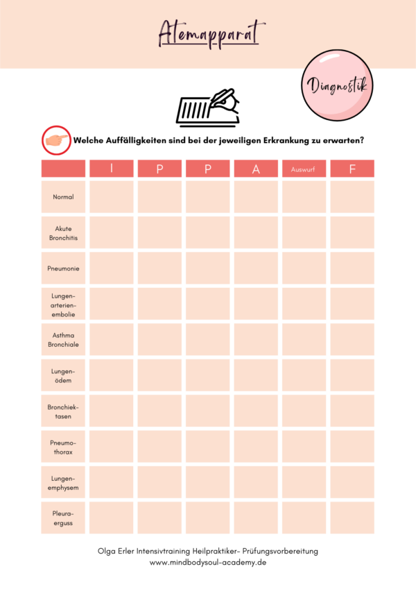 Die Untersuchungsmethoden- Digitales Workbook & Seminar für den praktischen Teil der Prüfung – Bild 5