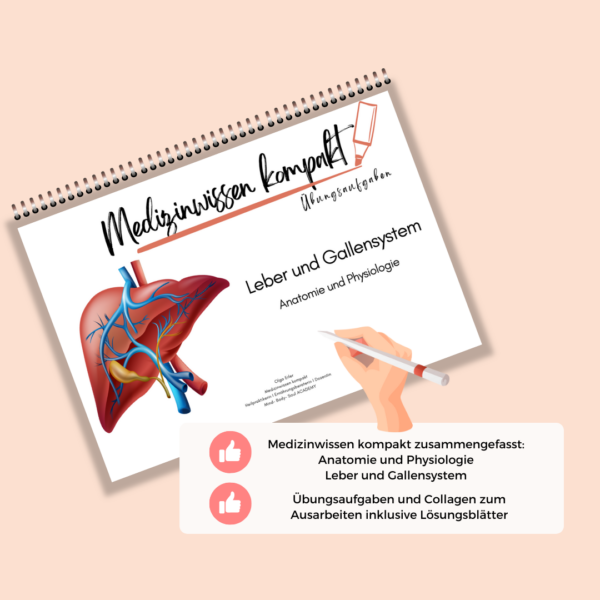 Medizinwissen kompakt- Leber und Gallensystem Anatomie und Physiologie