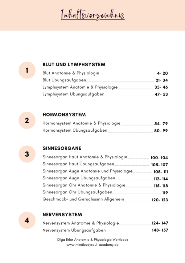 Anatomie & Physiologie- Digitales Workbook – Bild 4