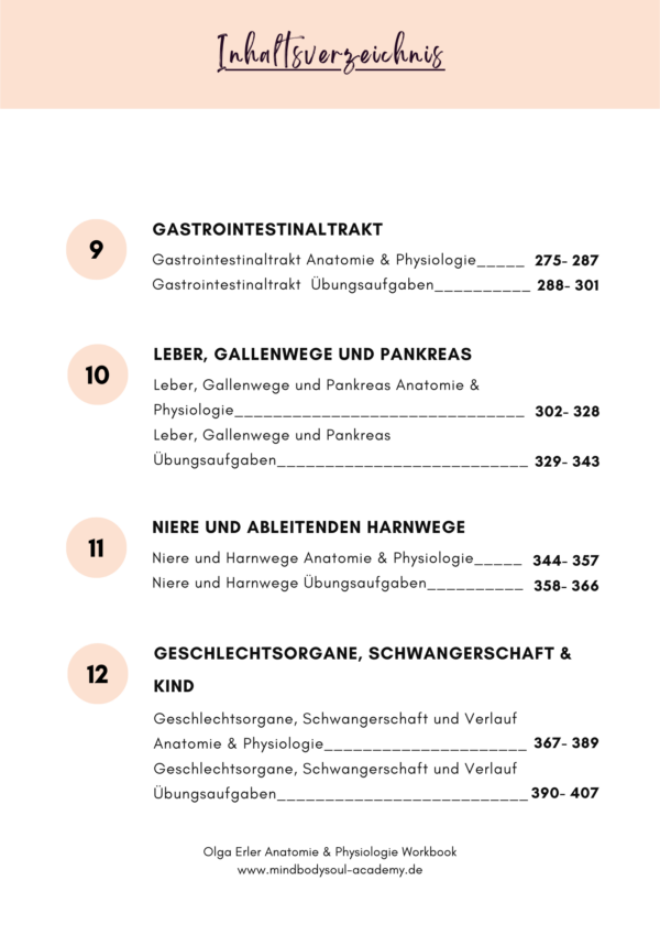 Anatomie & Physiologie- Digitales Workbook – Bild 6