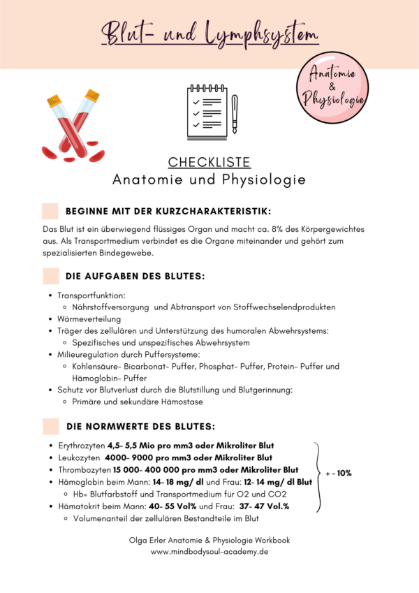 Anatomie & Physiologie- Digitales Workbook – Bild 7