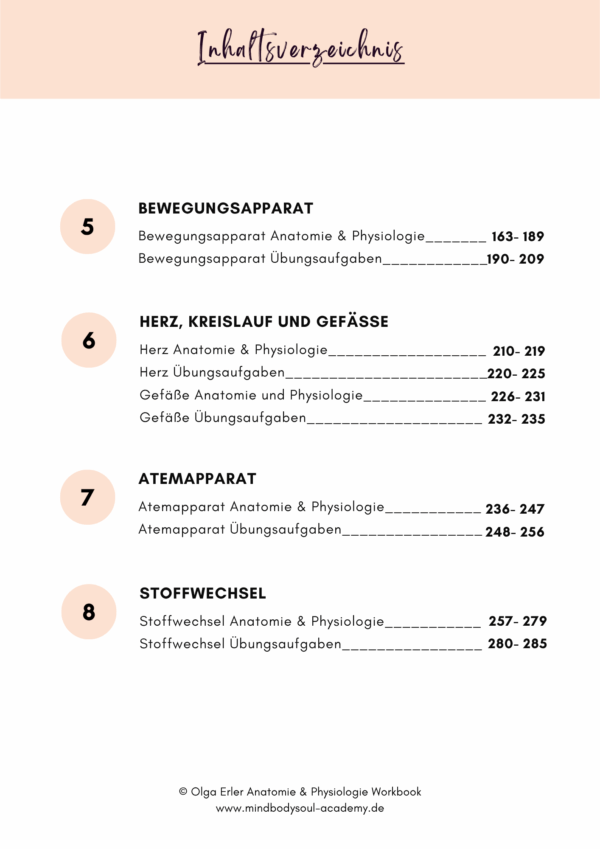 Anatomie & Physiologie- Digitales Workbook – Bild 4