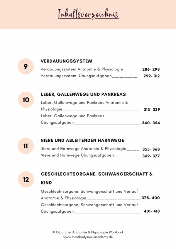 Anatomie & Physiologie- Digitales Workbook – Bild 5