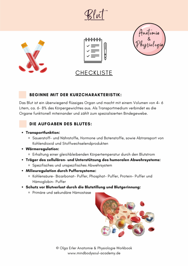 Anatomie & Physiologie- Digitales Workbook – Bild 6