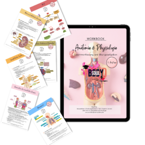 Digitales Workbook - Anatomie & Physiologie