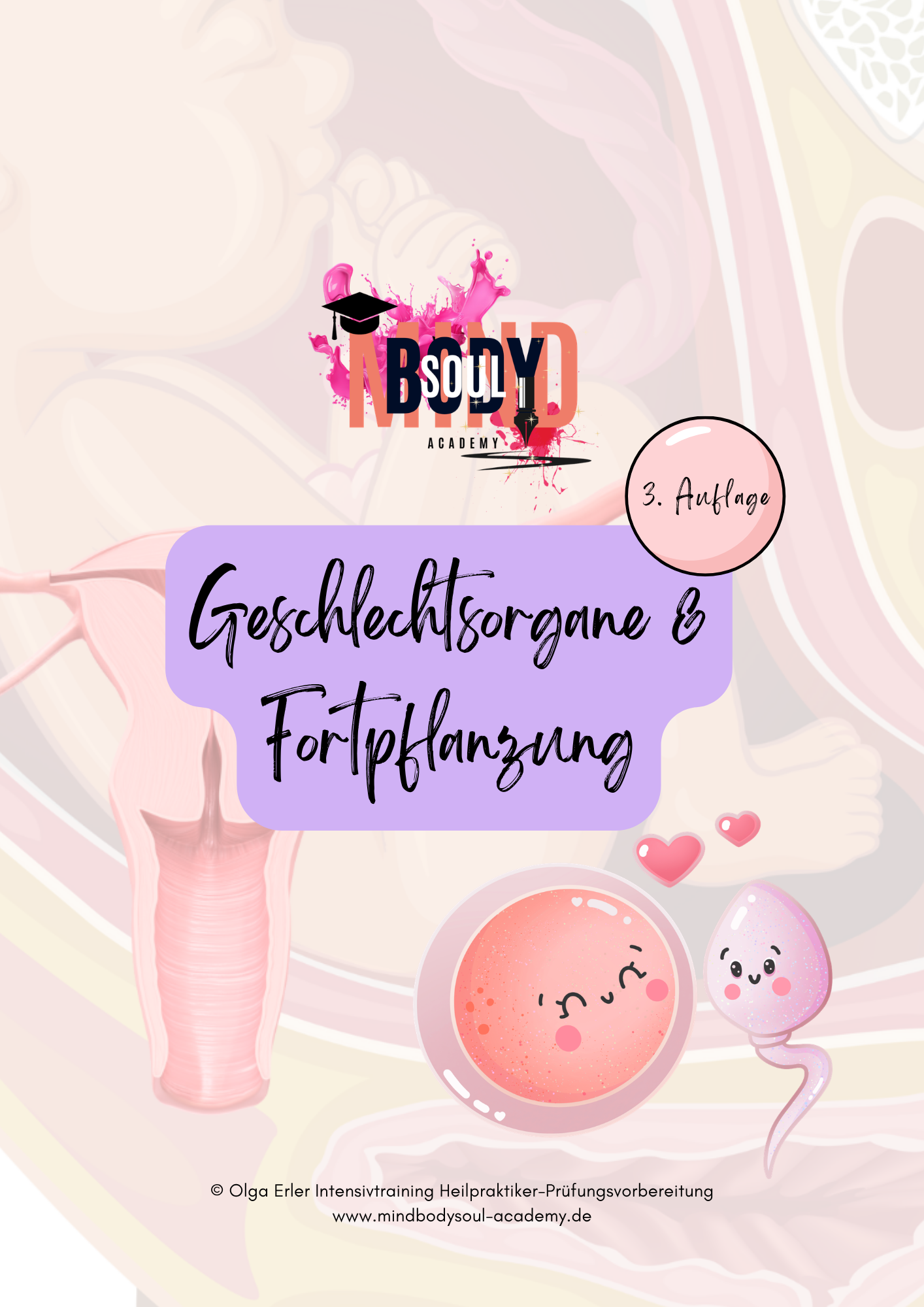 Digitales Workbook Nr.13 - Geschlechtsorgane und Fortpflanzung - Heilpraktiker-Prüfungsvorbereitung – Bild 2