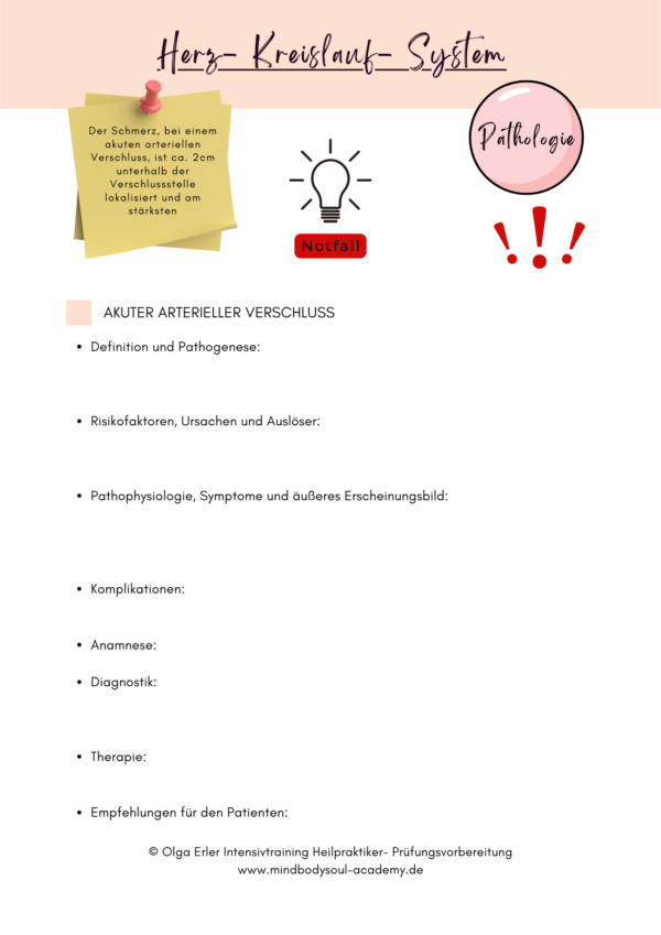 Digitales Workbook Herz- Kreislauf- System Heilpraktiker- Prüfungsvorbereitung – Bild 7