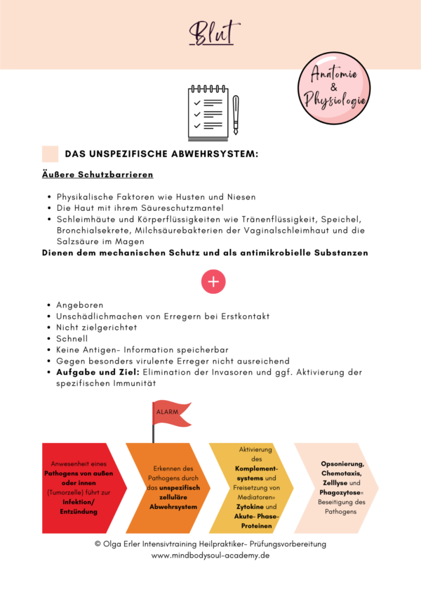 Digitales Workbook Blut und Lymphsystem- Heilpraktiker- Prüfungsvorbereitung – Bild 5