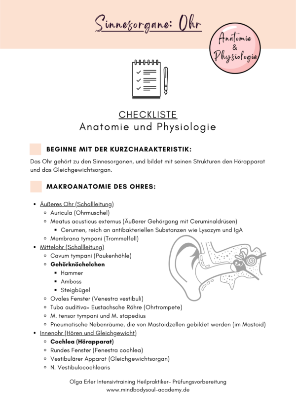 Digitales Workbook Sinnesorgane- Heilpraktiker- Prüfungsvorbereitung – Bild 3