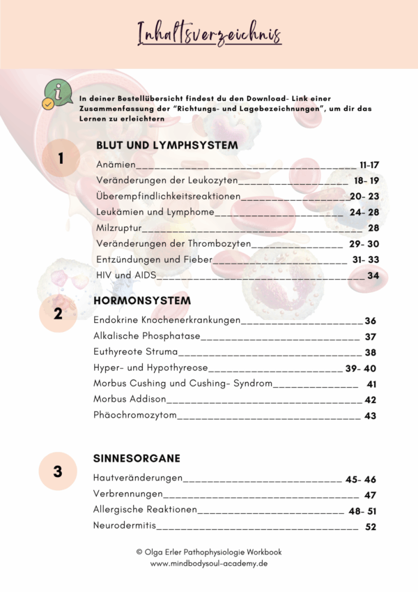 Bundle 👉 Kombi- Paket Anatomie, Physiologie und Pathophysiologie – Bild 18