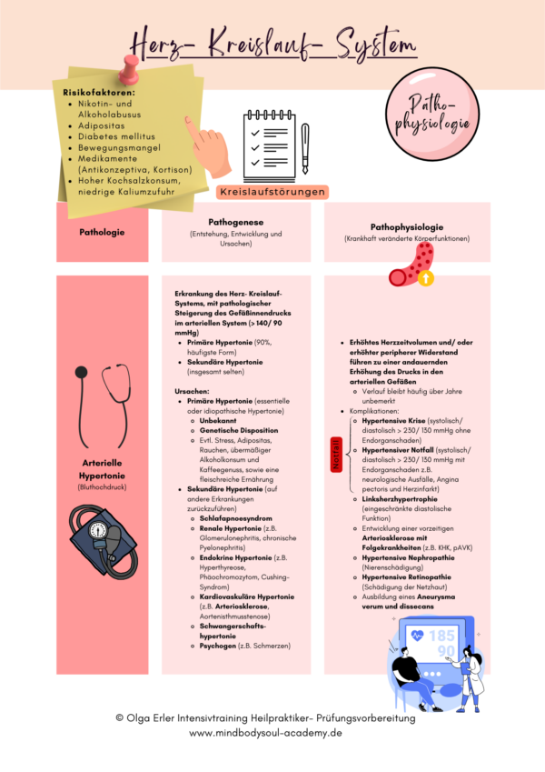 Digitales Workbook Herz- Kreislauf- System Heilpraktiker- Prüfungsvorbereitung – Bild 5