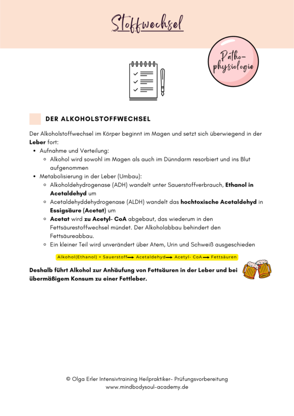 Digitales Workbook Stoffwechsel- Heilpraktiker- Prüfungsvorbereitung – Bild 5