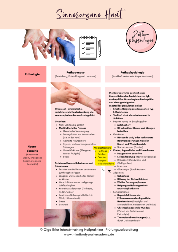 Digitales Workbook Sinnesorgane- Heilpraktiker- Prüfungsvorbereitung – Bild 7