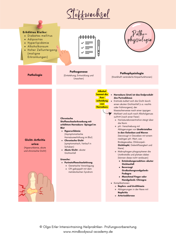 Digitales Workbook Stoffwechsel- Heilpraktiker- Prüfungsvorbereitung – Bild 6
