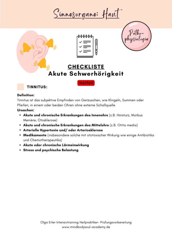 Digitales Workbook Sinnesorgane- Heilpraktiker- Prüfungsvorbereitung – Bild 5