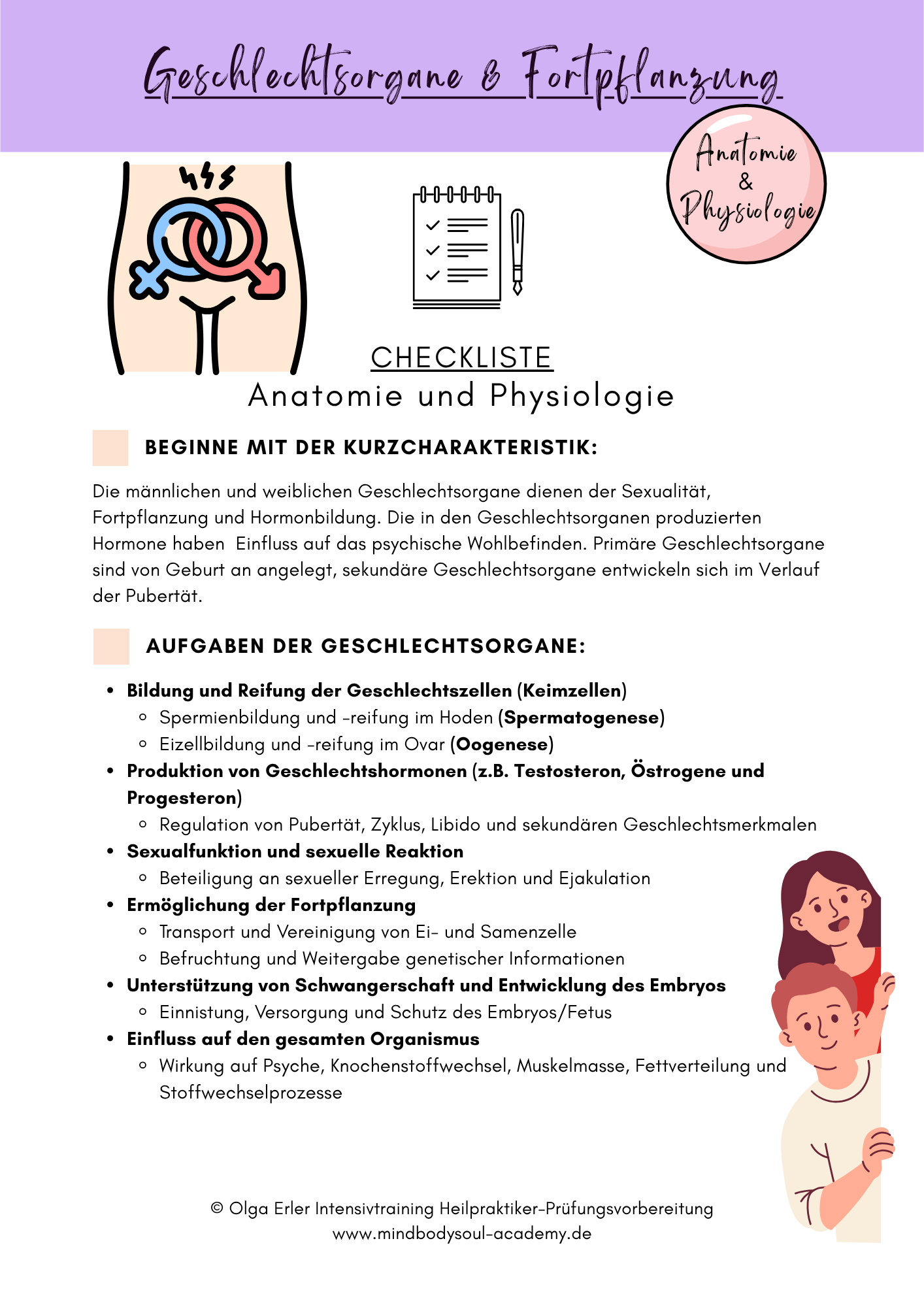 Digitales Workbook Nr.13 - Geschlechtsorgane und Fortpflanzung - Heilpraktiker-Prüfungsvorbereitung – Bild 3