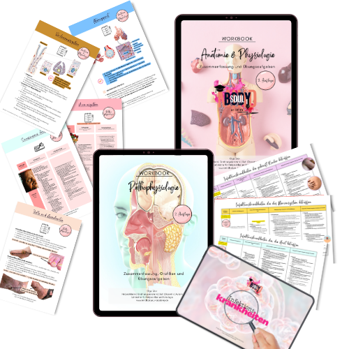 Bundle 👉 Kombi-Paket Anatomie, Physiologie und Pathophysiologie inklusive Infektionskrankheiten