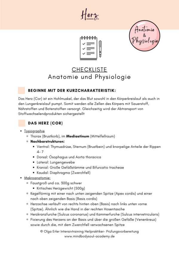 Digitales Workbook Herz- Kreislauf- System Heilpraktiker- Prüfungsvorbereitung – Bild 3