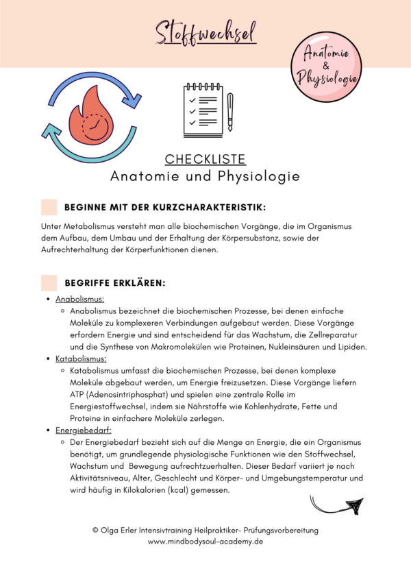 Digitales Workbook Stoffwechsel- Heilpraktiker- Prüfungsvorbereitung – Bild 3