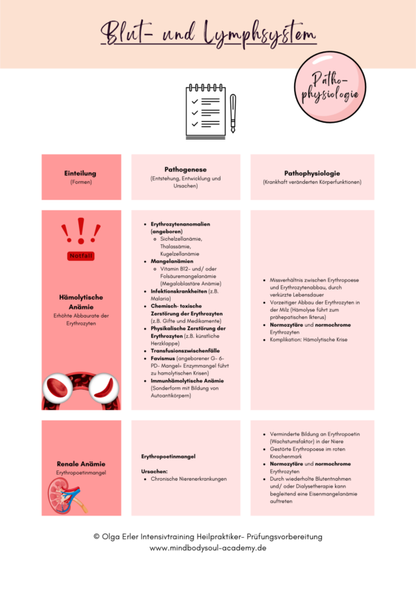 Digitales Workbook Blut und Lymphsystem- Heilpraktiker- Prüfungsvorbereitung – Bild 8
