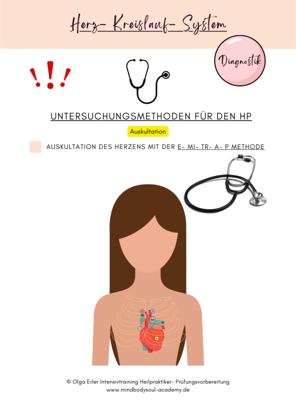 Digitales Workbook Herz- Kreislauf- System Heilpraktiker- Prüfungsvorbereitung – Bild 6