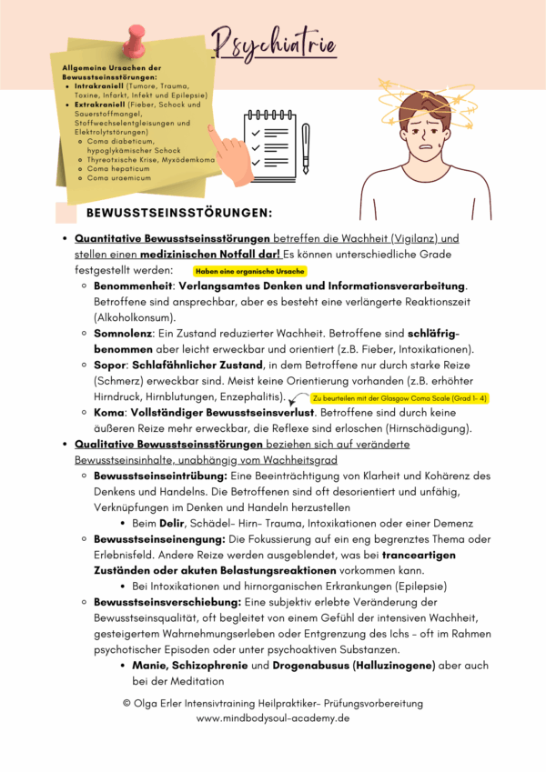 Digitales Workbook Psychiatrie- Heilpraktiker- Prüfungsvorbereitung – Bild 3
