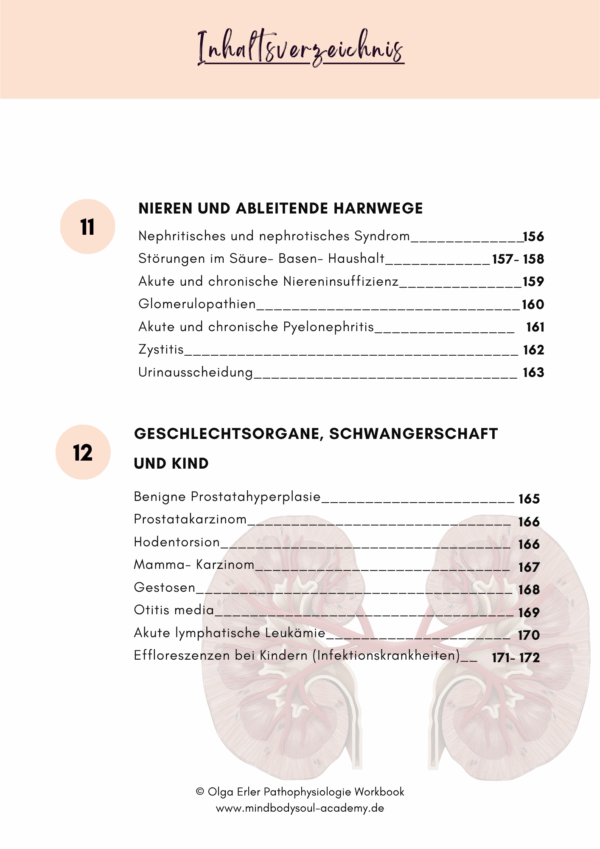 Bundle 👉 Kombi- Paket Anatomie, Physiologie und Pathophysiologie – Bild 23