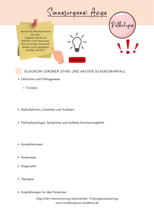 Digitales Workbook Sinnesorgane- Heilpraktiker- Prüfungsvorbereitung – Bild 8