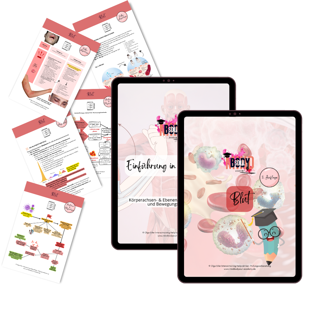 Alle digitalen Workbooks zur Heilpraktiker- Prüfungsvorbereitung als Gesamtpaket 📚 – Bild 3