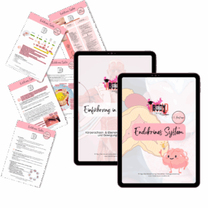 Digitales Workbook Nr.4 - Endokrines System- Heilpraktiker- Prüfungsvorbereitung