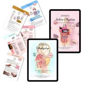 Bundle 👉 Kombi- Paket Anatomie, Physiologie und Pathophysiologie