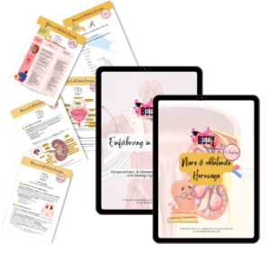 Digitales Workbook Nr.13 - Nieren und ableitende Harnwege Heilpraktiker-Prüfungsvorbereitung