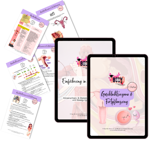 Alle digitalen Workbooks zur Heilpraktiker-Prüfungsvorbereitung als Gesamtpaket 📚 – Bild 14