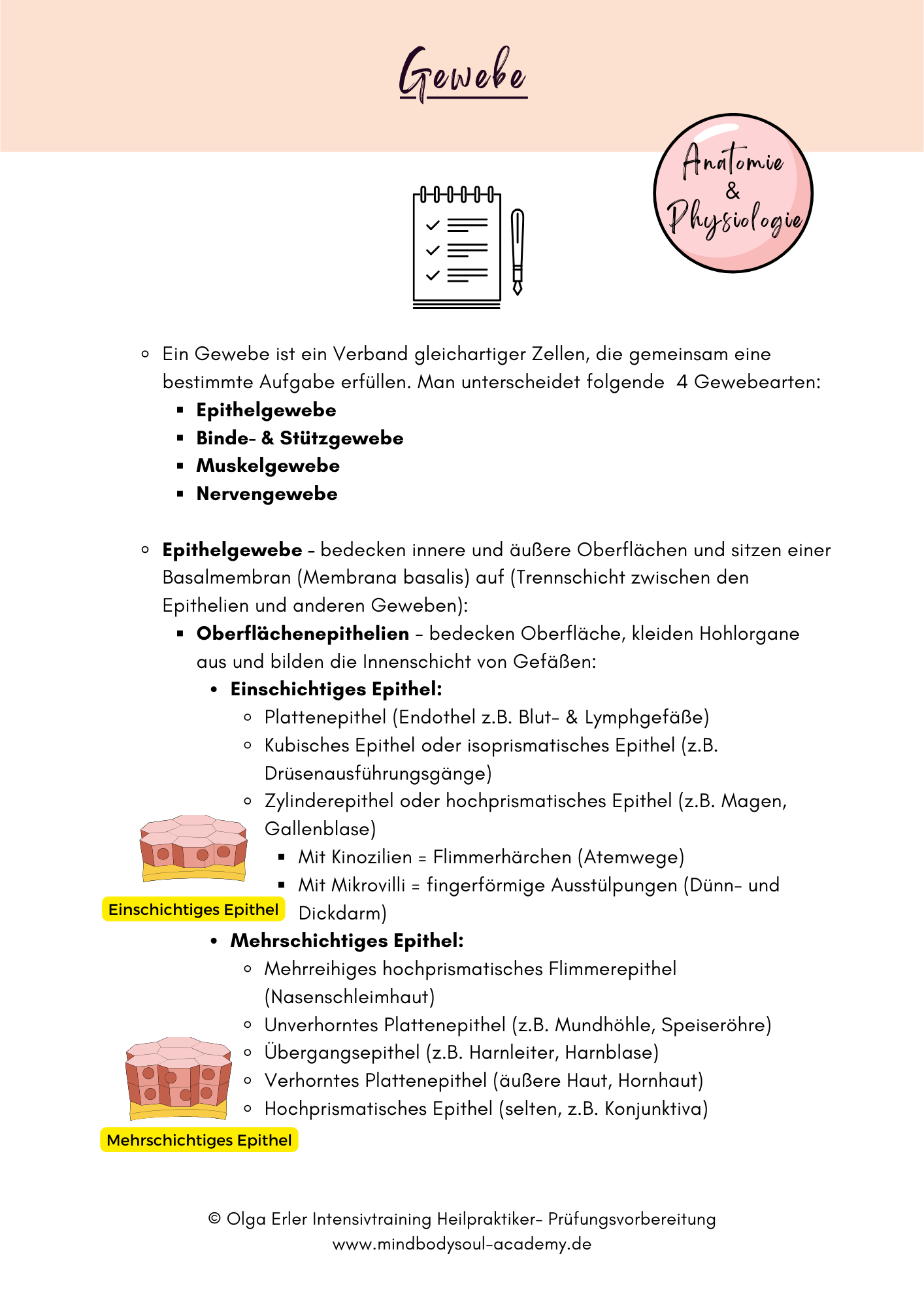 Digitales Lernmodul 1: Zelle und Gewebearten (mit Video und Digitales Workbook)🧬💡 – Bild 8