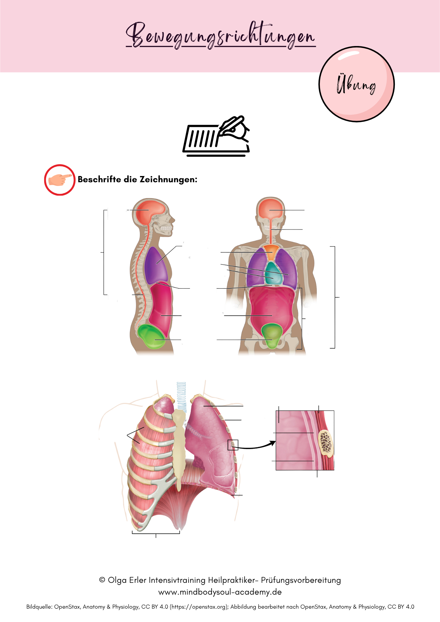 Digitales Workbook Nr.2 - Blut - Heilpraktiker- Prüfungsvorbereitung – Bild 13