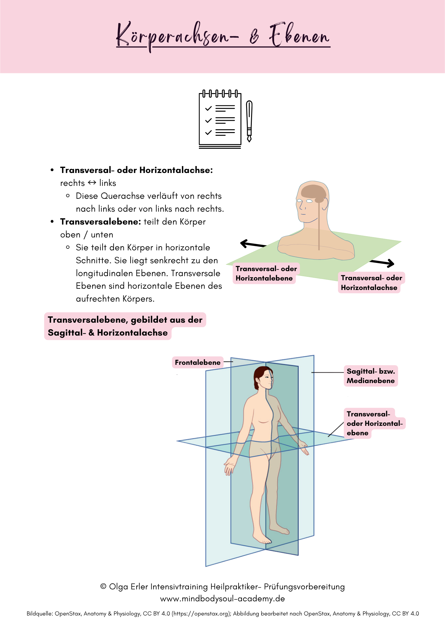 Digitales Workbook Nr.2 - Blut - Heilpraktiker- Prüfungsvorbereitung – Bild 12