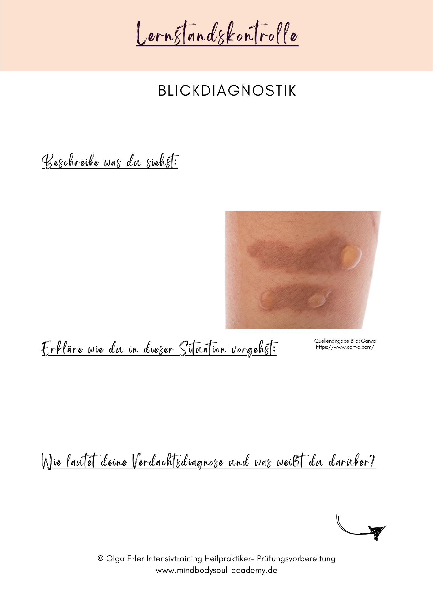 Digitales Lernmodul 1: Zelle und Gewebearten (mit Video und Digitales Workbook)🧬💡 – Bild 15