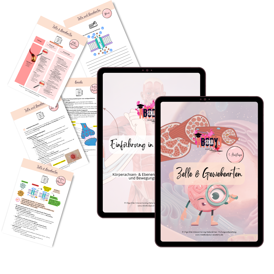 Alle digitalen Workbooks zur Heilpraktiker- Prüfungsvorbereitung als Gesamtpaket 📚 – Bild 2