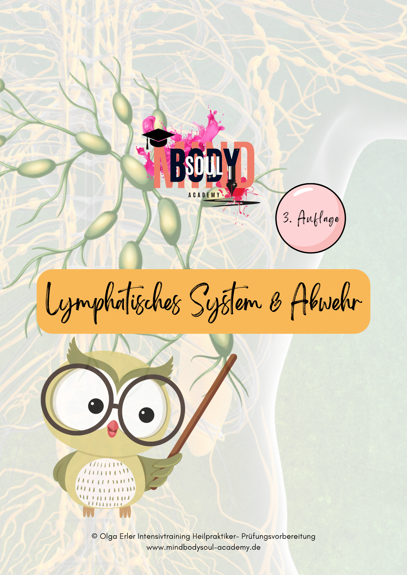 Digitales Lernmodul 3: Lymphatisches System und Abwehr (mit Video und Workbook)🛡️💡 – Bild 9