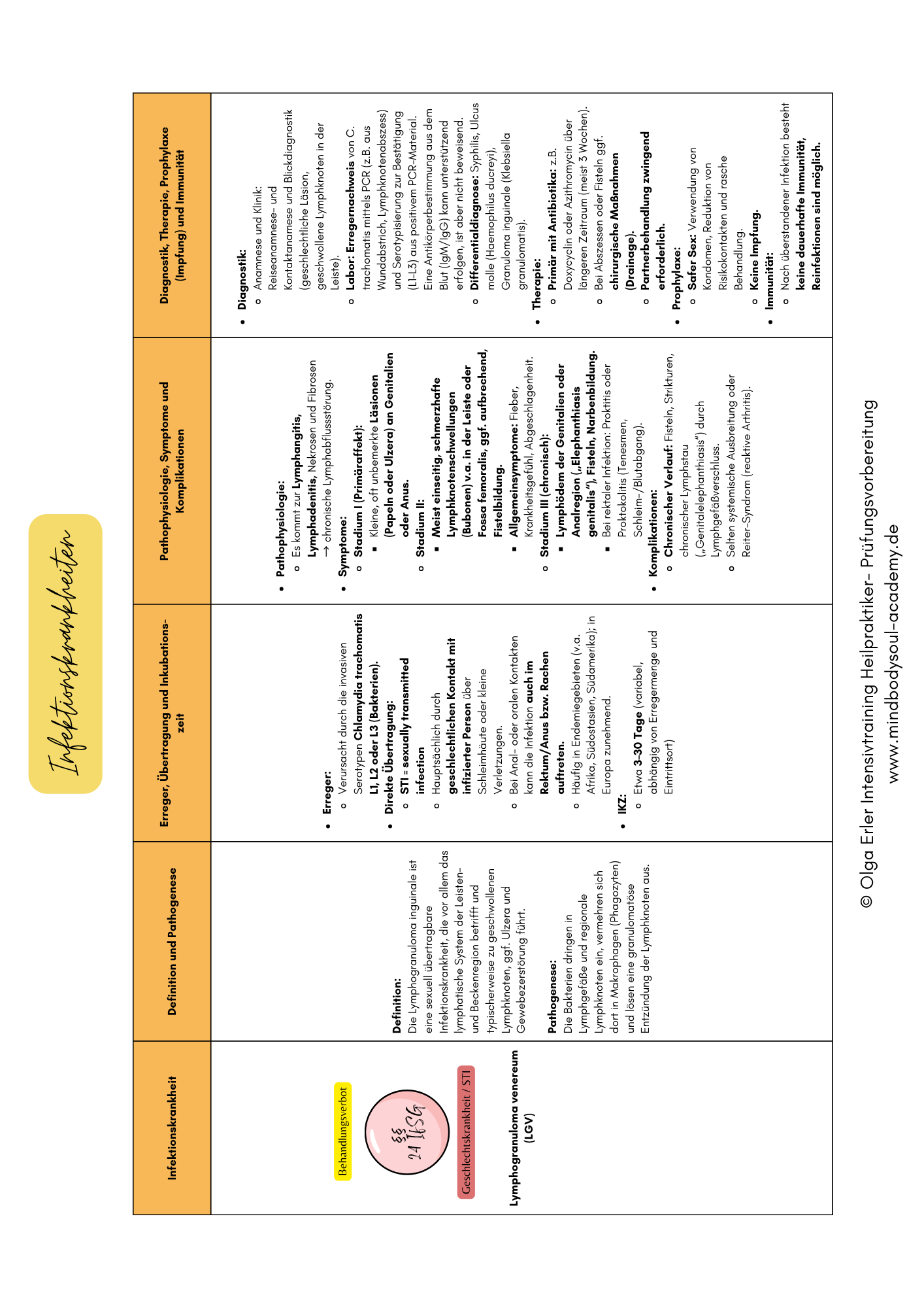 Digitales Lernmodul 3: Lymphatisches System und Abwehr (mit Video und Workbook)🛡️💡 – Bild 14