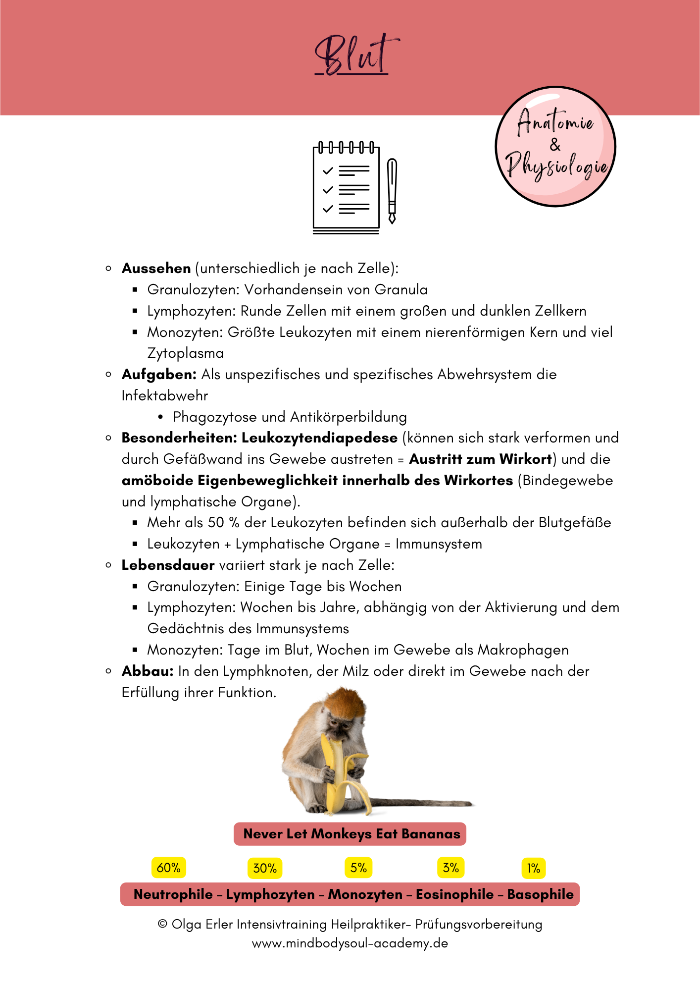 Digitales Lernmodul 2: Blut (mit Video und Digitales Workbook)🩸💡 – Bild 9