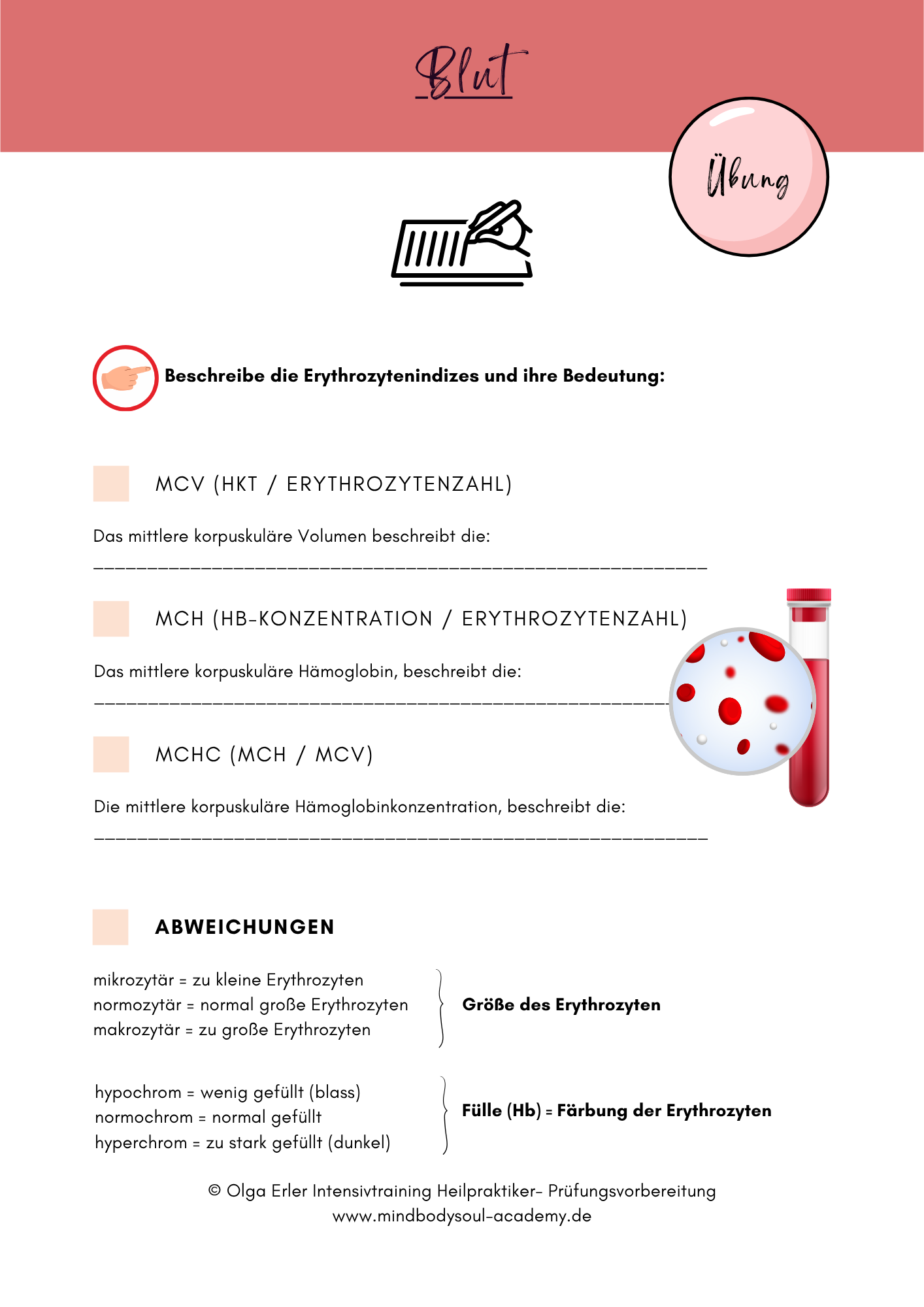 Digitales Lernmodul 2: Blut (mit Video und Digitales Workbook)🩸💡 – Bild 15