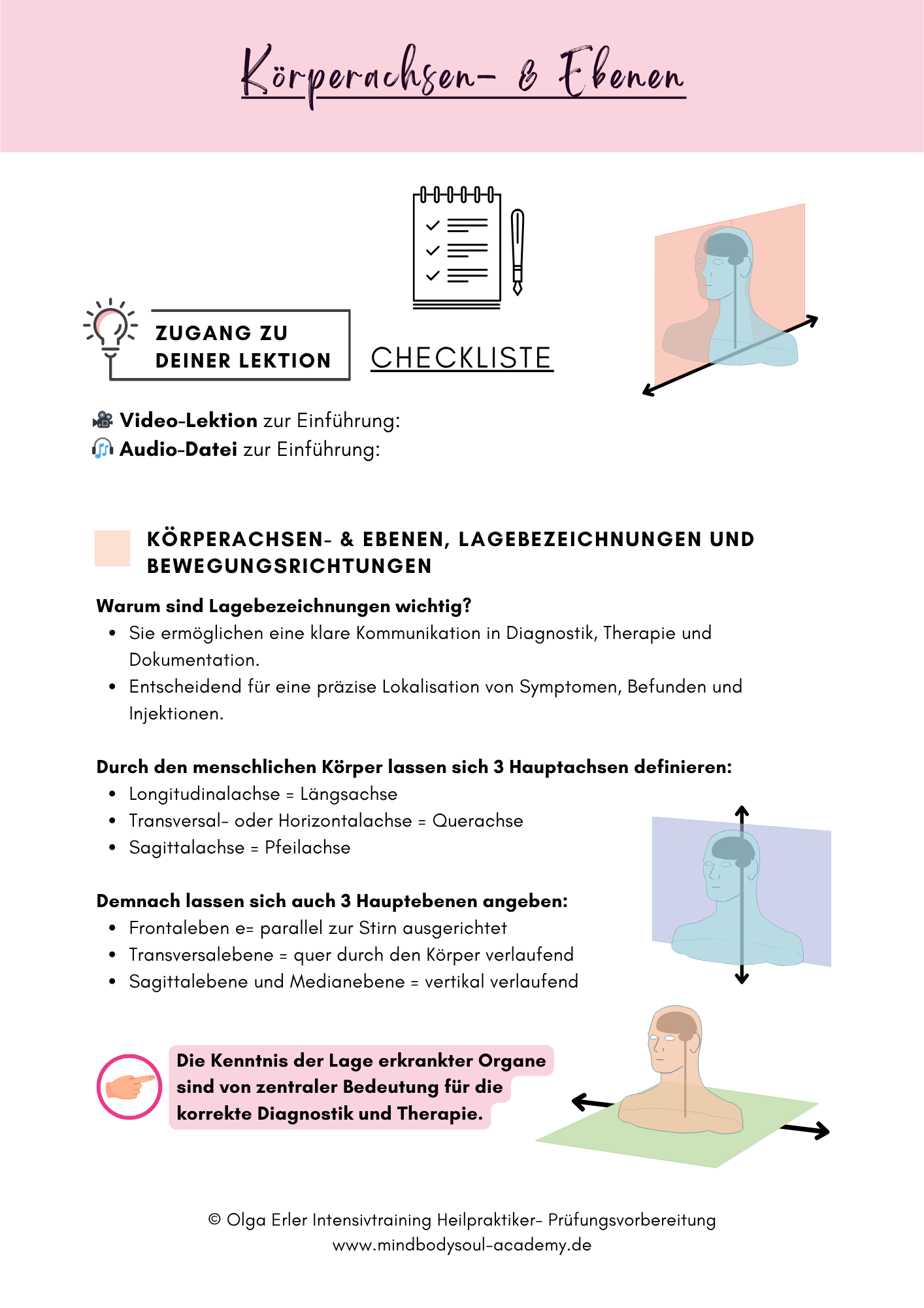 Digitales Lernmodul 3: Lymphatisches System und Abwehr (mit Video und Workbook)🛡️💡 – Bild 4