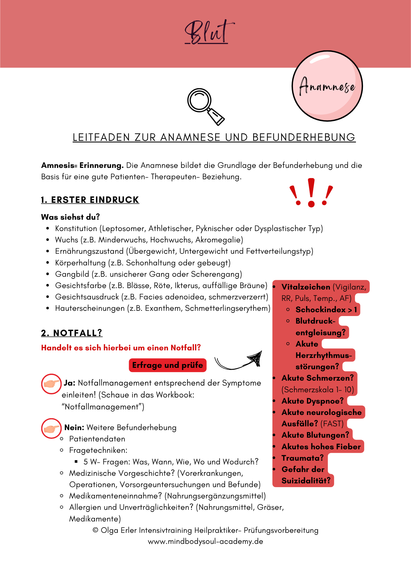 Digitales Lernmodul 2: Blut (mit Video und Digitales Workbook)🩸💡 – Bild 10