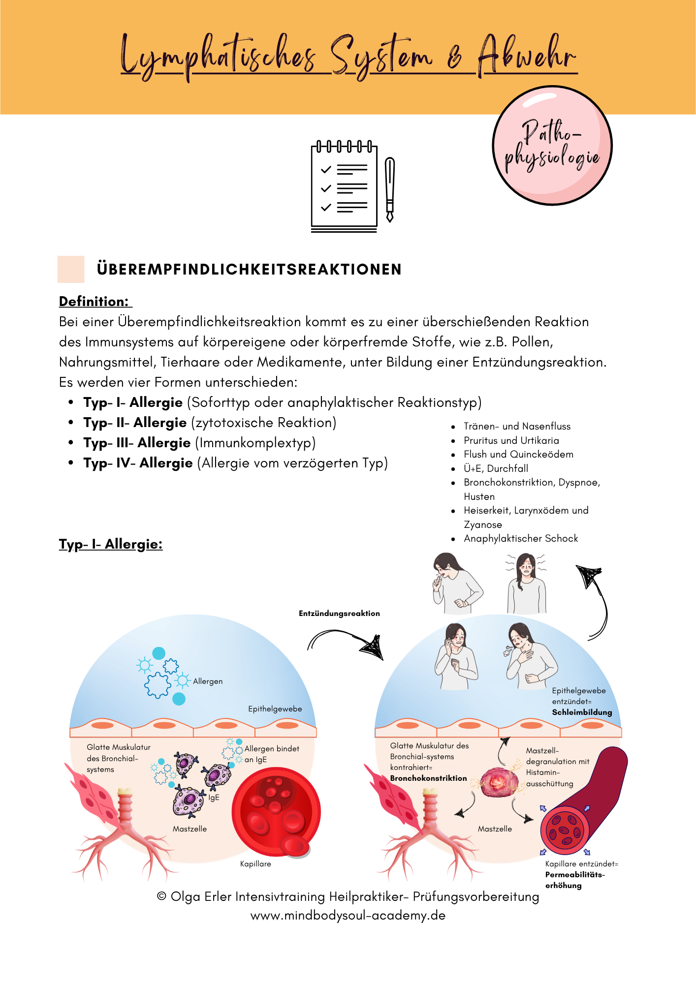 Digitales Lernmodul 3: Lymphatisches System und Abwehr (mit Video und Workbook)🛡️💡 – Bild 13