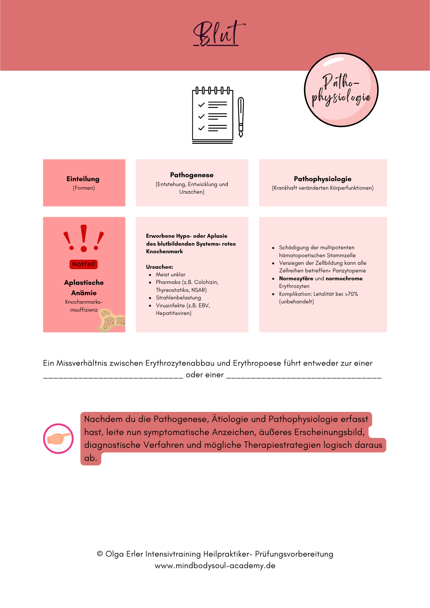 Digitales Lernmodul 2: Blut (mit Video und Digitales Workbook)🩸💡 – Bild 12
