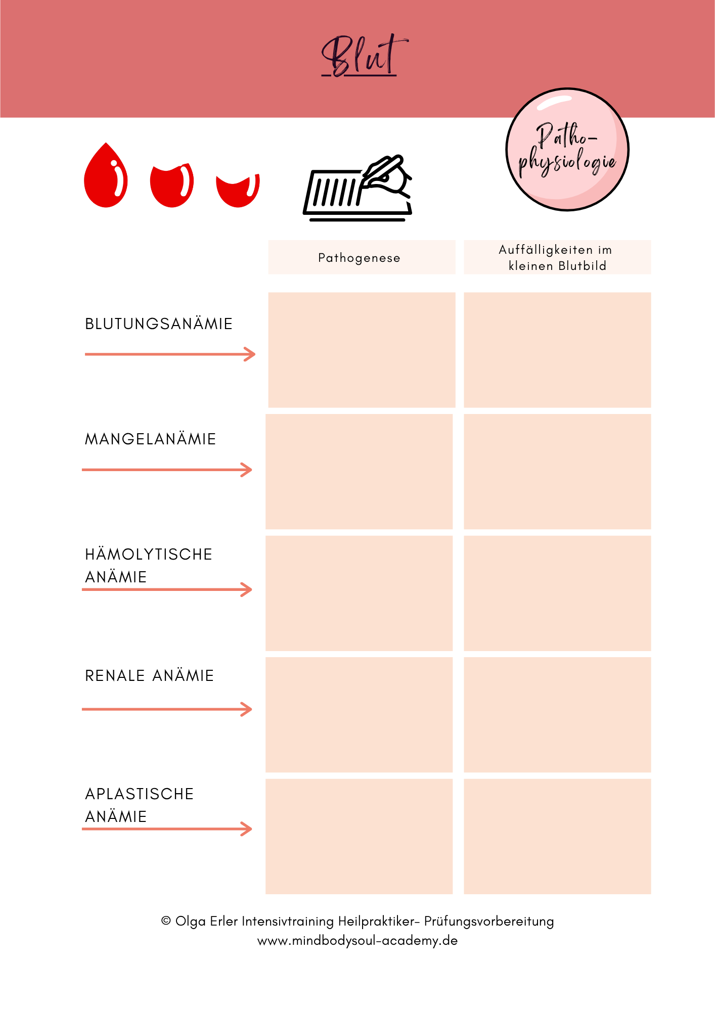 Digitales Lernmodul 2: Blut (mit Video und Digitales Workbook)🩸💡 – Bild 14